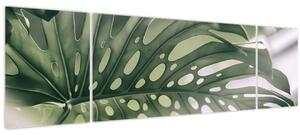 Obraz - List monstery (170x50 cm)