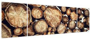 Obraz - Dřevo ve sněhu (170x50 cm)