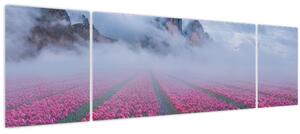 Obraz - Krajina s tulipánovými poli (170x50 cm)