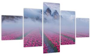 Obraz - Krajina s tulipánovými poli (125x70 cm)