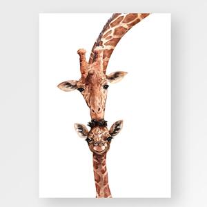 Malá a velká žirafka
