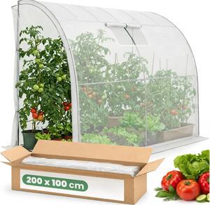 Přístěnný zahradní skleník 100x200x210 cm LUMPAN - bílý