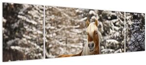 Obraz - Kůň v zimní krajině (170x50 cm)