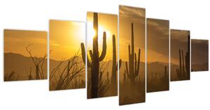 Obraz - Kaktusy Saguaro (210x100 cm)