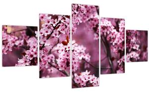 Obraz - Růžová sakura (125x70 cm)