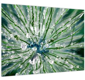 Obraz - Makro snímek květu (70x50 cm)