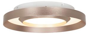 STROPNÍ LED SVÍTIDLO, 40/8 cm Novel - Stropní svítidla