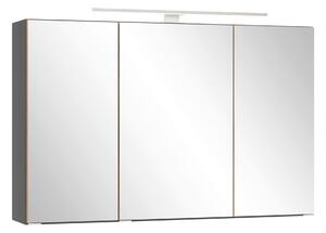 ZRCADLOVÁ SKŘÍŇKA, divoký dub, šedá, 100/64/20 cm Held - Koupelnové série, Online Only