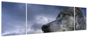 Obraz - Vlčí hlava (170x50 cm)