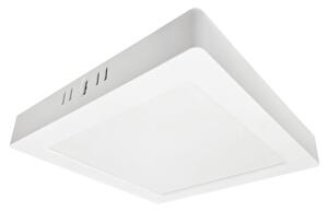 Stropní svítidlo PANEL bílá