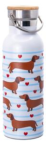 Světle modrá/hnědá cestovní nerezová lahev 425 ml Sausage Dog – Sass & Belle