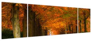 Obraz - Alej stromů na podzim (170x50 cm)