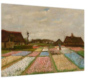 Obraz - Vincent van Gogh, Flower Beds in Holland, reprodukce (70x50 cm)