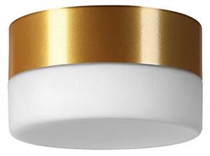 Lucis Nomia LED přisazené svítidlo 4000K240mm - 15.5WZlatá