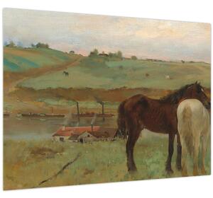 Obraz - Edgar Degas, Horses in a Meadow, reprodukce (70x50 cm)