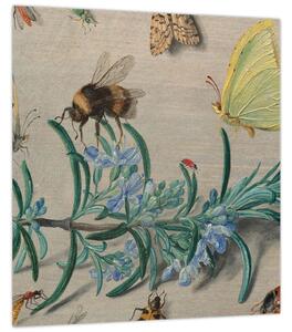 Obraz - Jan van Kessel the Elder, Insects and a Sprig of Rosemary, reprodukce (30x30 cm)