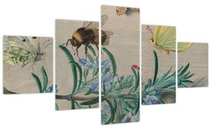 Obraz - Jan van Kessel the Elder, Insects and a Sprig of Rosemary, reprodukce (125x70 cm)