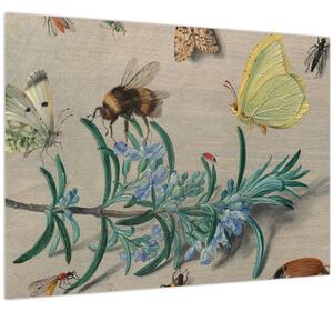 Obraz - Jan van Kessel the Elder, Insects and a Sprig of Rosemary, reprodukce (70x50 cm)