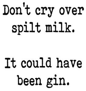 Ilustrace Dont cry over spilt milk, Finlay & Noa, (30 x 40 cm)