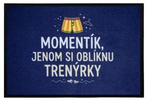 Mercury Flooring, Trenýrková rohožka 40x60 cm - na ven i na doma, 40x60, modrá