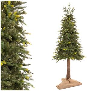 Vánoční stromek Smrk přírodní na kmínku 220 cm