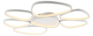STROPNÍ LED SVÍTIDLO, 92/70/6,5 cm - Stropní svítidla