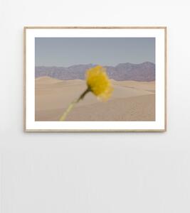 The Poster Club Plakát Desert Mirage by Nicole Mason 40x50 cm