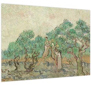Obraz - Vincent van Gogh, The Olive Orchard, reprodukce (70x50 cm)