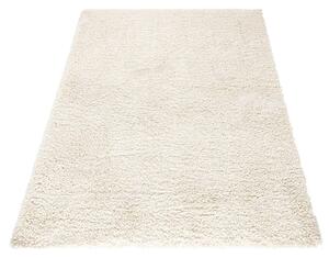 Kusový koberec SHAGGY XSH-24 120x170 cm