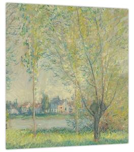 Obraz - Claude Monet, The Willows, reprodukce (30x30 cm)