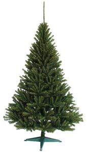 Nádherný zelený vánoční smrek 150 cm