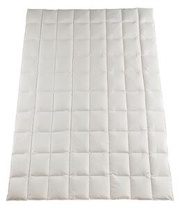 CELOROČNÍ PŘIKRÝVKA, 135/200 cm, kachní prachové peří, kachní peří Bio:Vio - Přikrývky, Online Only