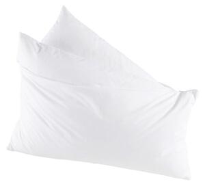 POLŠTÁŘ POD HLAVU, 80/40 cm Sleeptex - Polštáře pod hlavu, Online Only