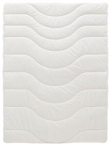 CELOROČNÍ PŘIKRÝVKA, 135/200 cm, polyester, lyocell, kapok Sleeptex - Přikrývky, Online Only