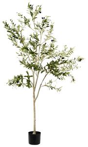 Umělá rostlina OLIVE TREE 178 cm Zelená