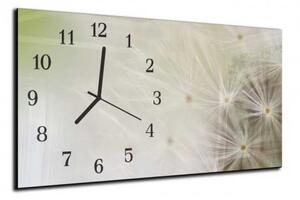 Nástěnné hodiny odkvetlá pampeliška 30x60cm IV - plexi