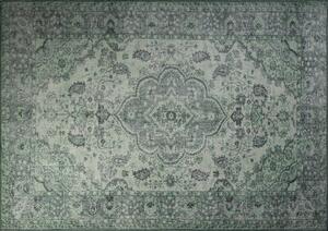 Conceptum Hypnose Kusový koberec Blues Chenille - Green AL 139, Vícebarevná Rozměr koberce: 75 x 230 cm