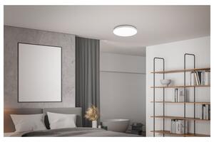 LIVARNO home Stropní LED svítidlo (100369658)