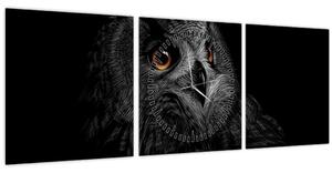 Obraz - Sova, ilustrace (s hodinami) (90x30 cm)