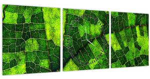 Obraz - Detail listu (s hodinami) (90x30 cm)