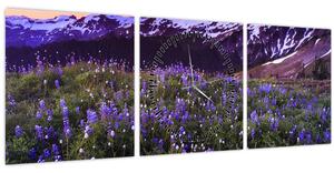 Obraz - Sopka a květiny (s hodinami) (90x30 cm)
