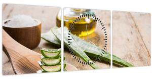 Obraz - Aloe vera (s hodinami) (90x30 cm)