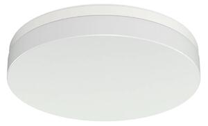 Stropní svítidlo Prios Wynion LED, CCT app, 30 cm