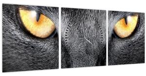 Obraz - Blízký portrét kočky (s hodinami) (90x30 cm)