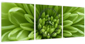 Obraz - Makro snímek rostliny (s hodinami) (90x30 cm)