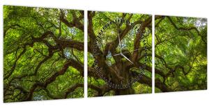 Obraz - Zelený strom (s hodinami) (90x30 cm)