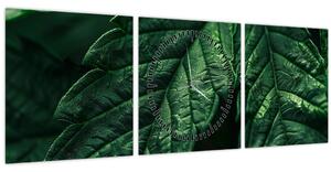 Obraz - Detail listu (s hodinami) (90x30 cm)