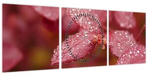 Obraz - Makro snímek lístku (s hodinami) (90x30 cm)