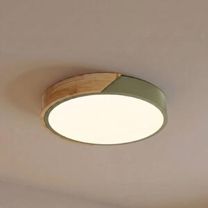 PRIOS LED stropní svítidlo Lynorri, Ø 32 cm, zelené, dekor dřeva, Zelená, Obývací pokoj / jídelna, Plast, Moderní