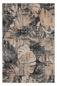 Conceptum Hypnose Kusový koberec Genesis, Vícebarevná, 80 x 200 cm